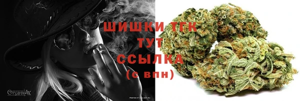 бошки Лагань