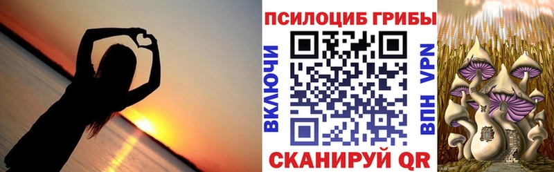 blacksprut Ершов Галлюциногенные грибы ЛСД